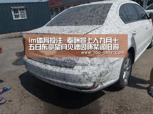im体育投注-奉酬宣上人九月十五日东亭望月见赠因怀紫阁旧游(图1) im体育平台