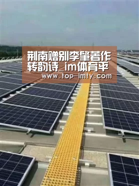 im体育投注